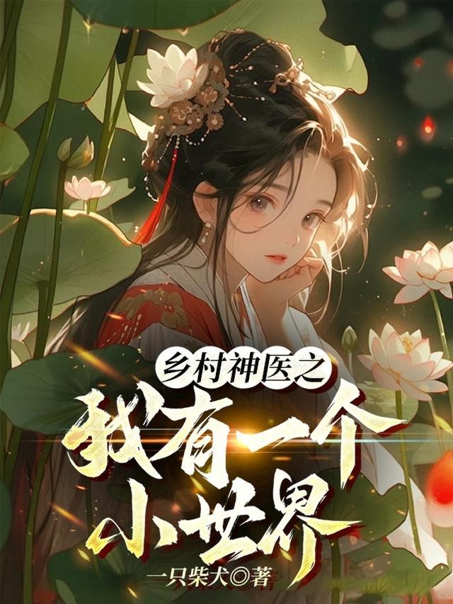 乡村小神医讲的什么