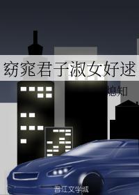窈窕君子淑女好逑诗句
