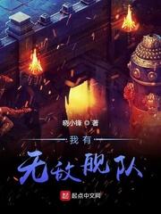 荷兰无敌舰队