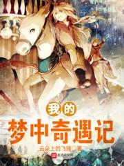 我的梦中奇遇记评论