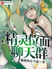 精灵位面交流群