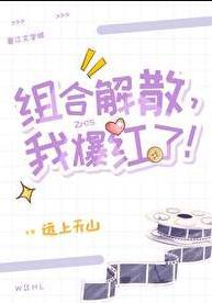 组合解散后我成了大黑制作人