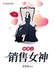 女销售的逆袭之路结局