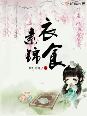 素衣锦年意思
