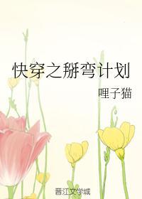 快穿掰弯计划免费阅读