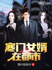寒门女婿完整版
