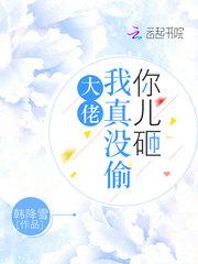 大佬我真没那些黑科技