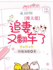 傅大佬追妻又翻车了txt