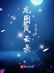 龙图风云录 越小橙