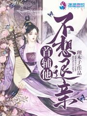 首辅txt