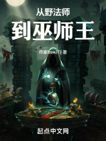 从野法师到巫师王起点中文网