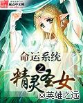 命运系统之精灵圣女人物
