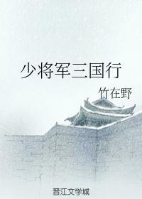 少将军三国行免费