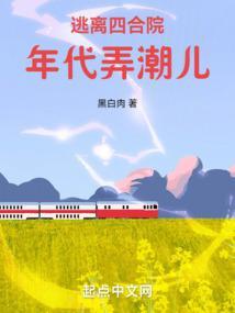 逃离四合院年代弄潮儿正版阅读