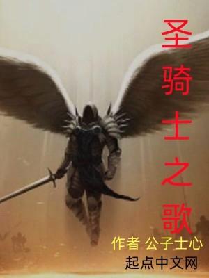 圣骑士sol