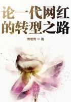 论网红现象