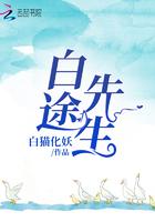 白途先生免费阅读