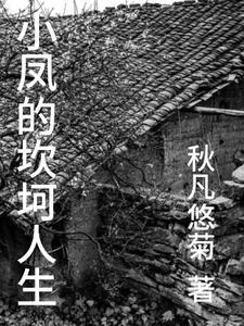小凤是谁啊