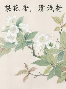 梨花香什么意思