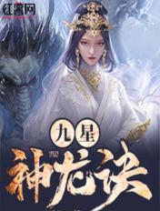 九星神龙诀txt逐风