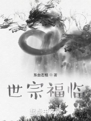 世宗福临免费阅读