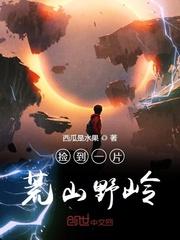 捡了一片荒野起点