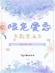 恋爱限定在线阅读