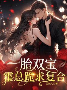 一胎双宝总裁好喜欢