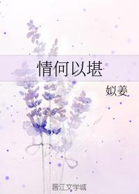 情何以堪可以用在哪里