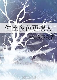 夜色很撩人的意思是什么