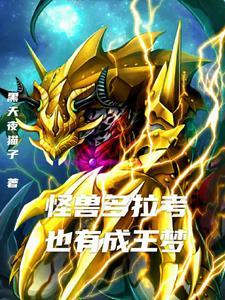 奥特曼中老大是谁
