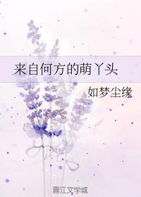 来自何方怎么回答