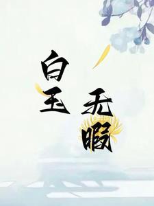 白玉无瑕是啥意思