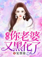 你老婆又黑化了安暖历铭爵