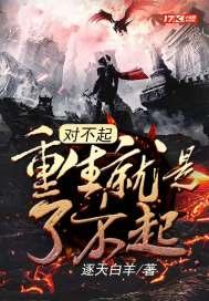 对不起我又上火了免费阅读