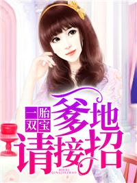 一胎双宝爹地请接招易看
