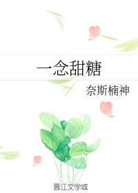 一念误终生甜饼