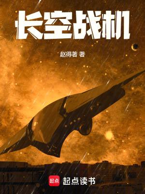 长空战机 顶点