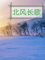 北京大风长歌文化传媒有限公司
