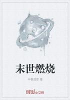 末日危机燃烧流怎么样搭配