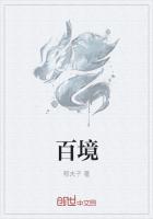 百境精灵官方正版