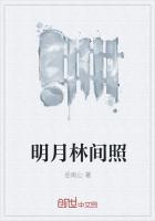 明月林间照什么意思
