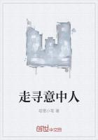 寻找意中人是什么意思