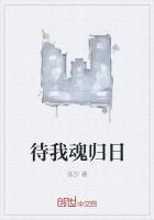 待我归来日