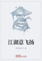 意飞扬怎么解释