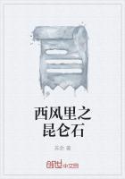 昆仑好客西风酒