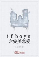 韩剧完美恋爱