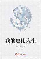 逗比人生年度版