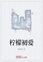 柠檬初上陶然