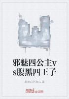 邪魅四少vs绝色四公主